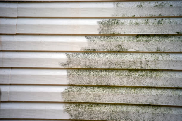 Affordable siding repair and maintenance services in Victoria, VA